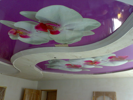 Цветок на потолке из натяжного потолка или гипоскартона