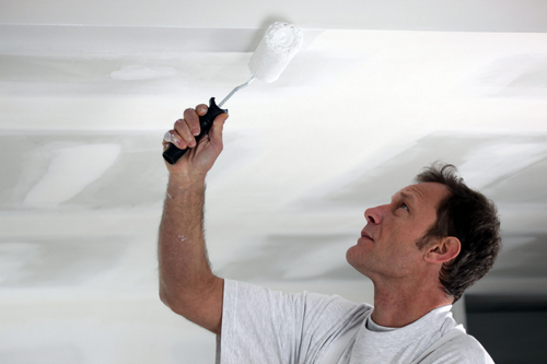 Плюсы и минусы использования распылителя для покраски потолка
